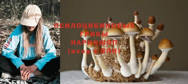 метадон Баксан