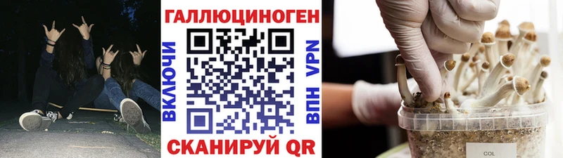 Псилоцибиновые грибы Magic Shrooms купить наркоту Славск
